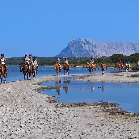Sette Posti Vicino Al Centro Di San Teodoro (Sardinia)