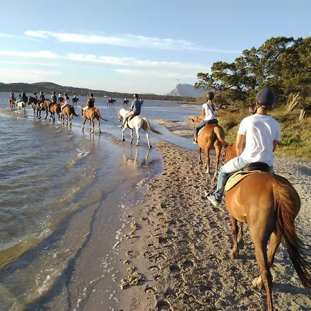 Sette Posti Vicino Al Centro Di Διαμέρισμα San Teodoro (Sardinia)